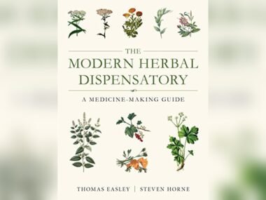 Herbal Skin Repair Remedy Programs