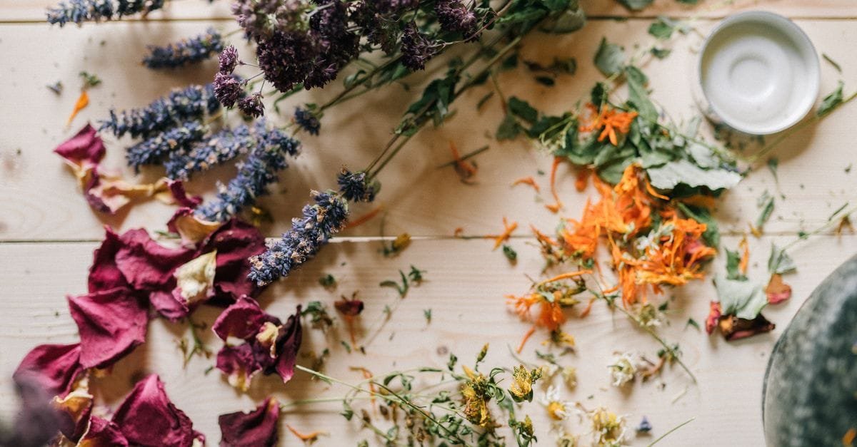 Seasonal Botanical Skincare