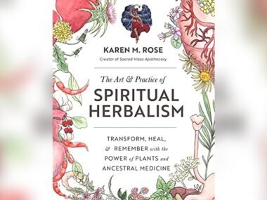 Plant-Based Beauty Treatment Systems