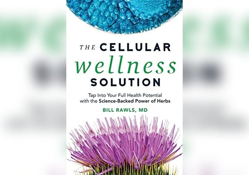 Wellness-Driven Skin Detox Remedies