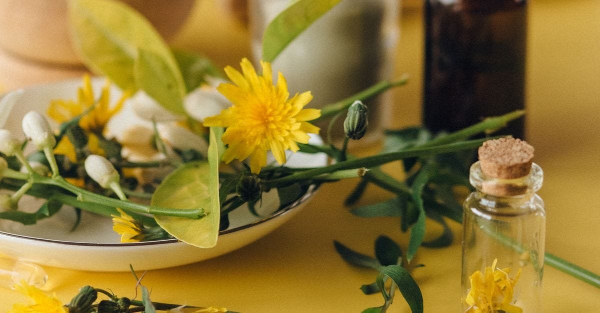 Therapeutic Plant-Extract Beauty Routines
