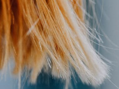 Bleached hair with frayed dry ends against a blue background