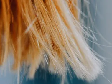 Bleached hair with frayed dry ends against a blue background